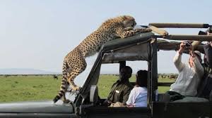 Classic Maasai Mara Safari